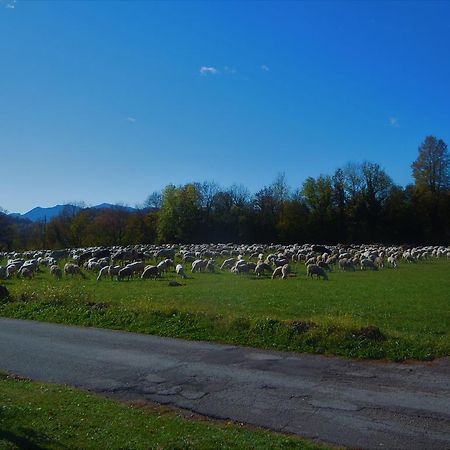 I Borghi Della Schiara - Borgo Talvena Hotel Belluno Kültér fotó