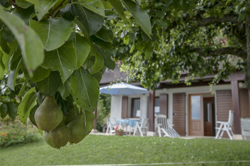 I Borghi Della Schiara - Borgo Talvena Hotel Belluno Kültér fotó