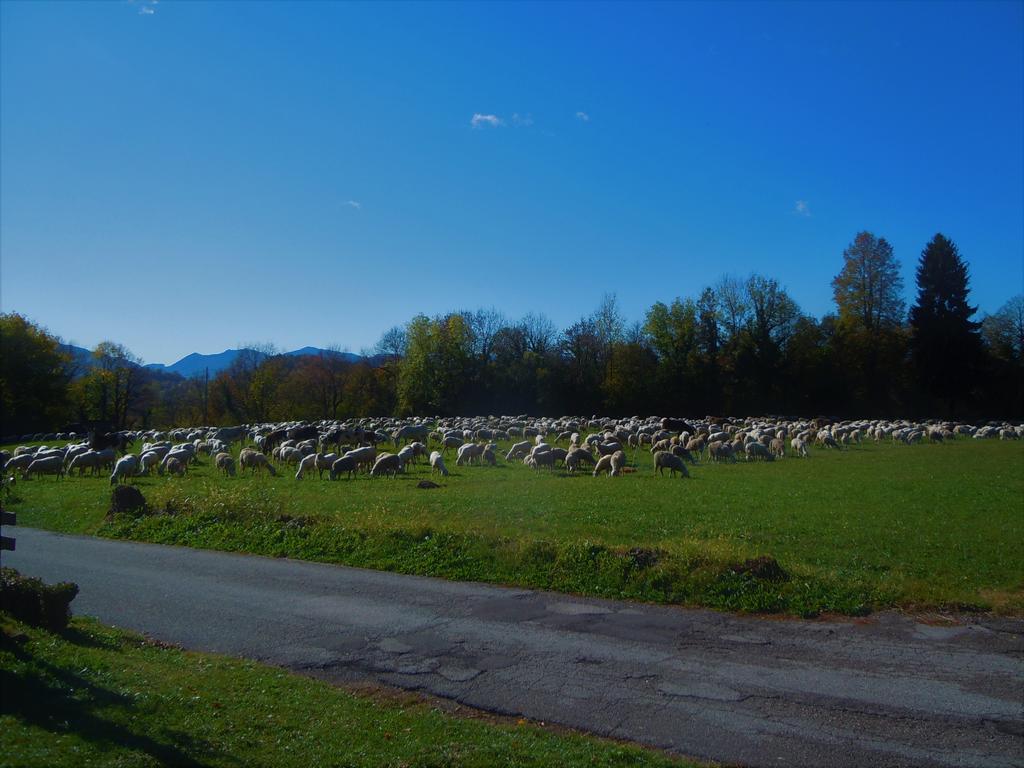 I Borghi Della Schiara - Borgo Talvena Hotel Belluno Kültér fotó