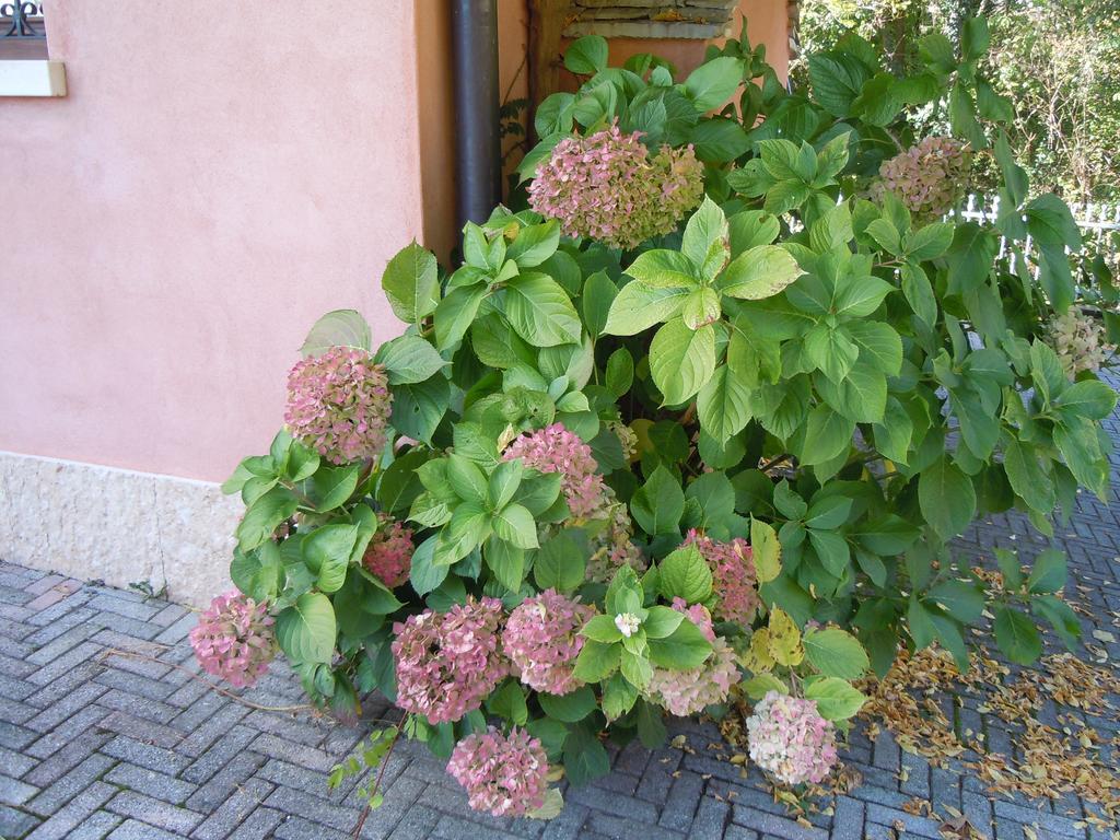 I Borghi Della Schiara - Borgo Talvena Hotel Belluno Kültér fotó